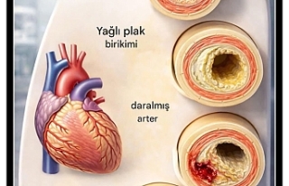 Kardiyolog Ali Erdoğan’dan Hayati Uyarı: Kalp...